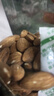 憨豆熊 原味巴旦木仁500g 坚果原味杏仁扁桃仁盐焗巴达木干果烘焙零食 实拍图
