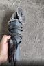 博世（BOSCH）经典款角磨机710瓦抛光打磨切割焊疤高效散热低噪握持舒适GWS700 实拍图