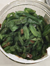 湾琴河 香油海白菜500g 罐装即食裙带菜梗段片海藻沙拉下饭菜 实拍图