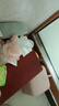 新贝吸奶器8768+集乳器 实拍图