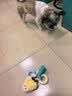 HELLOJOY狗狗玩具耐咬磨牙球宠物幼犬小狗比熊用品小型犬拔河自嗨解闷神器 实拍图