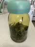 贡苑小叶苦丁茶250g 特级2026新茶嫩芽四川峨眉山明前头采茶叶 实拍图