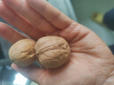 西域美农 薄皮核桃500g 新疆特产深色生核桃 原味无漂白每日坚果休闲零食 实拍图