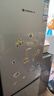 上菱183升两门小冰箱小型家用出租房小户型办公室宿舍双门电冰箱冷藏冷冻两用1-2人以旧换新BCD-183D 实拍图