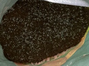 德沃多养花专用营养土15L园艺盆栽种植花土牡丹栀子花蝴蝶兰有机椰糠土 实拍图