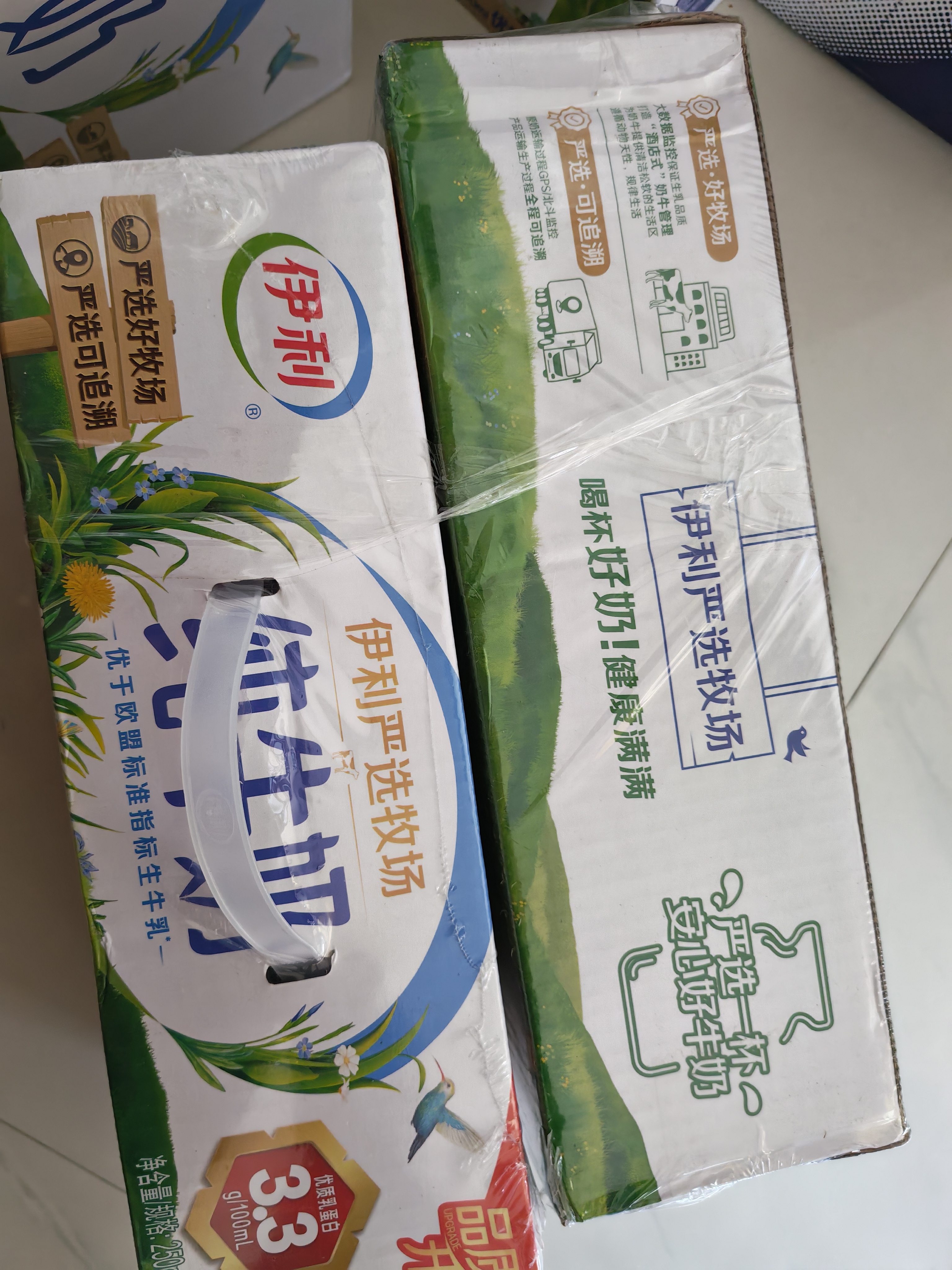伊利纯牛奶250ml*24盒 优质乳蛋白早餐奶 4月产 实拍图