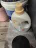 植护樱花香氛洗衣液500g补充袋装 持久留香去污渍去黄内衣裤手洗机洗 实拍图