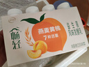 伊利宫酪 呼伦贝尔奶皮子酸奶 珍贵菌株 醇香厚奶皮风味酸乳520g/桶 实拍图