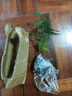 文竹盆栽绿植花卉盆景植物室内客厅水培文松云竹文竹大苗四季常青 文竹【1颗】原盆原土球发货 高度15-25cm 实拍图
