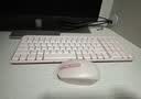 罗技（Logitech）MK251无线蓝牙键盘鼠标套装 办公商务笔记本电脑 数字键盘99键粉色键鼠套装（K251键盘+M196鼠标） 实拍图