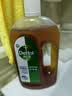 滴露（Dettol）消毒液洗衣衣物消毒水750mL 除螨杀菌混洗无忧 家居地板消毒 非84 实拍图