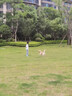 好主人狗粮 全犬种通用幼犬粮2.5kg泰迪金毛拉布拉多比熊天然粮5斤/20斤 【超值囤货】全犬种幼犬粮20斤 实拍图