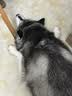 网易严选犬粮 宠爱相伴全价狗粮幼犬中小型犬成犬通用泰迪柯基 10kg 实拍图