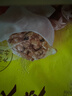 湾仔码头三鲜水饺1320g66只饺子早餐速食半成品面点速冻饺子 实拍图