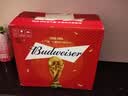 百威（BUDWEISER）百威啤酒经典美式拉格小麦啤酒 百威啤酒 460mL 12瓶 整箱装 晒单实拍图