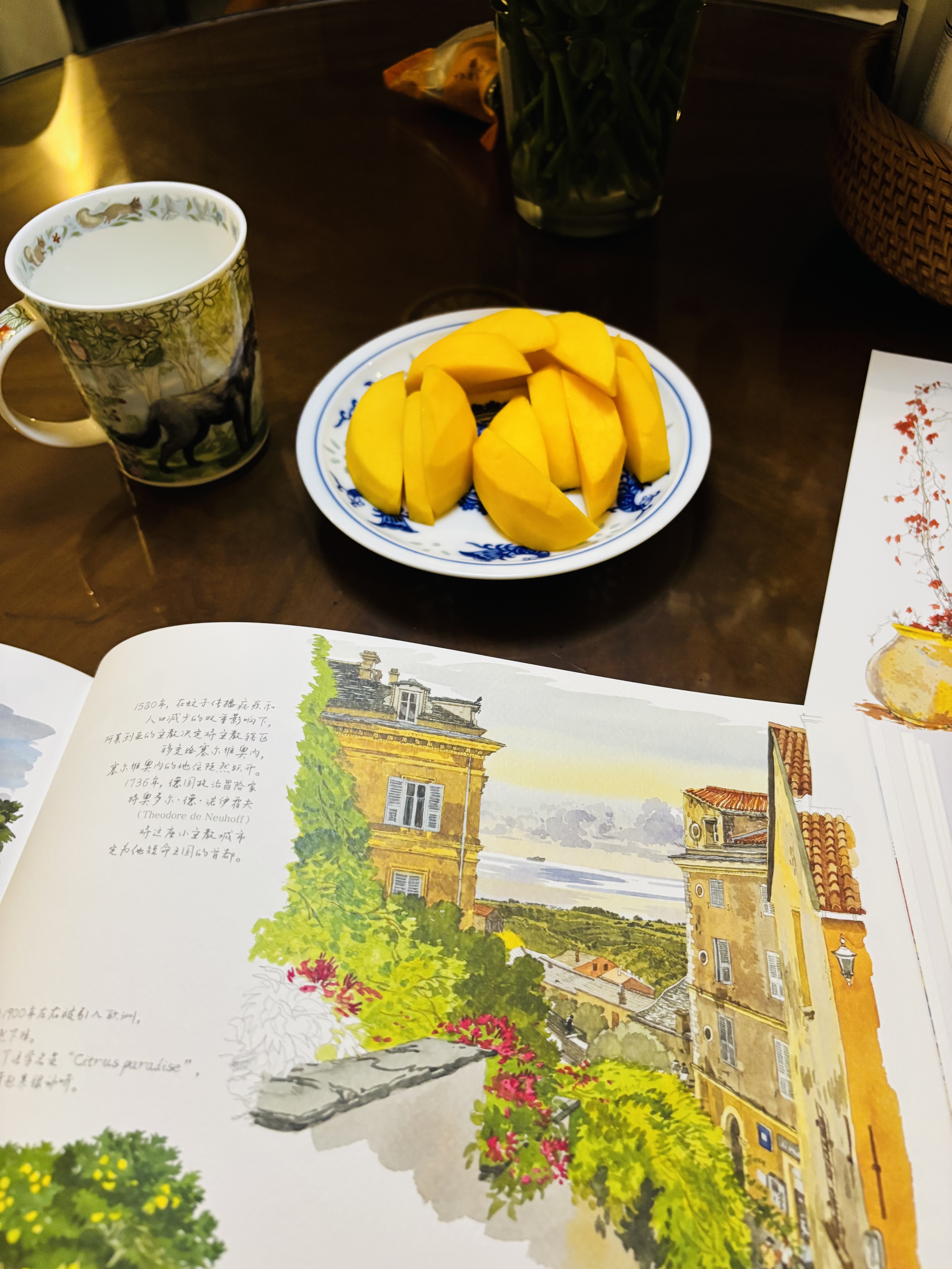 科西嘉岛水彩笔记 百余幅水彩画作 为你展现科西嘉岛的自然风光与人文风情 水彩画绘画插画图集旅游指南 实拍图