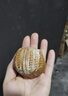 广州酒家核桃包750g 20个 早餐半成品早茶点心包子面点食品美食面点预制菜 实拍图
