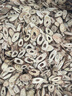 IVORPO【德国】增压淋浴花洒喷头全套装强劲家用多功能洗澡手持莲蓬头 五档花洒+1.5米防爆软管+支架 【强劲增压丨密集大出水】 实拍图