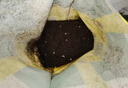 史丹利3L包装营养土园艺有机土通用型种花种菜养花专用泥炭土壤种植土 实拍图