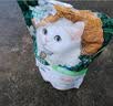宝诺滋猫粮全价全期无谷猫粮成猫幼猫专用猫粮高蛋白鲜肉粮赠猫粮试用装 【限量抢购】试吃装50g*5袋 实拍图