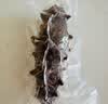 大鲜田大连有机即食海参4斤/40-60只固形物超85%辽刺参滋补礼盒源头直发 实拍图