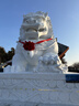 洁丽雅（Grace）纯棉10A级抗菌防螨全棉毛巾男士洗脸毛巾2条装吸水洗澡擦脸巾运动 实拍图