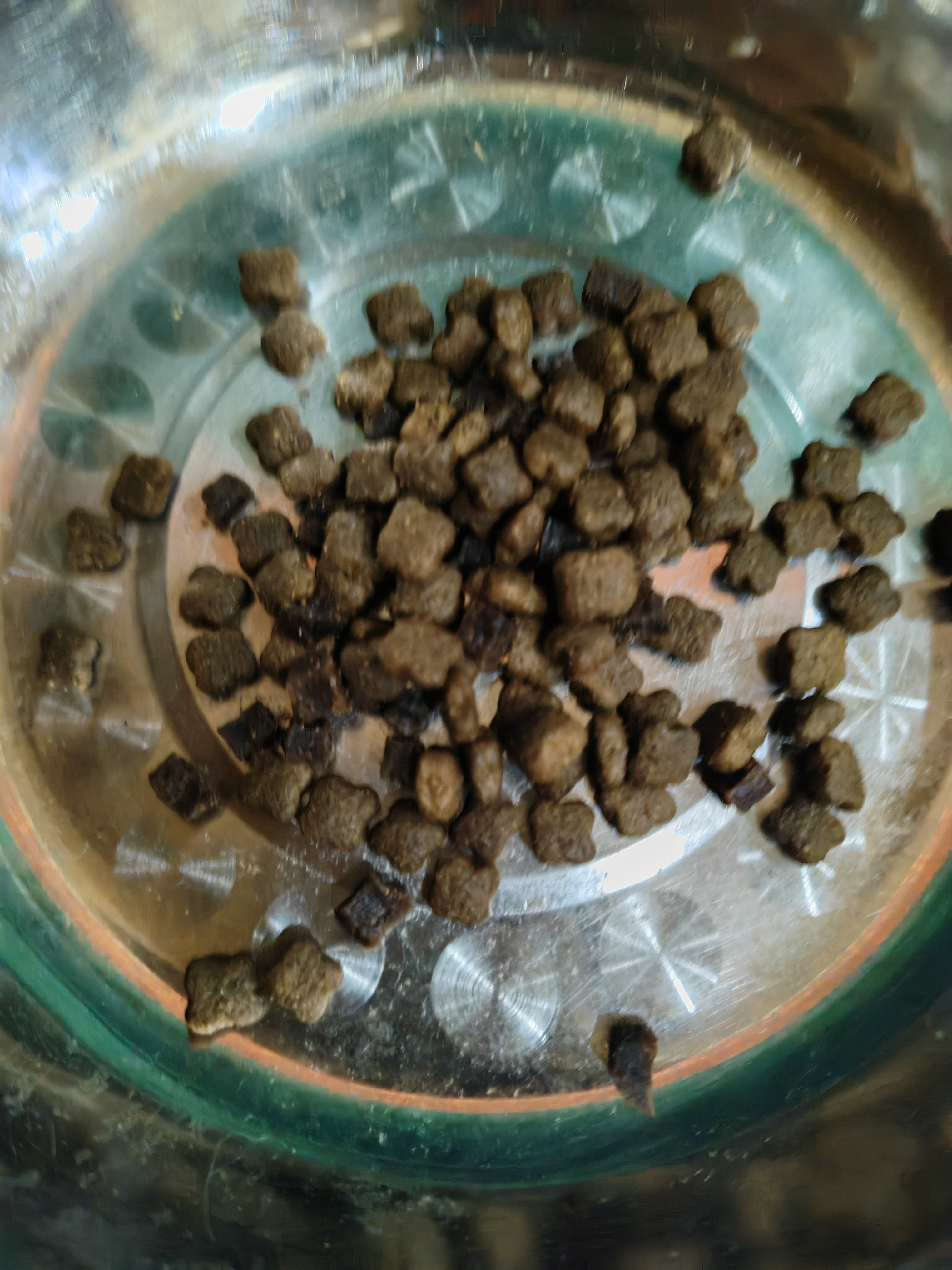 麦富迪狗粮 无谷牛肉双拼狗粮成犬小型犬比熊贵宾缓解泪痕 10kg/20斤 实拍图