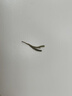 极白安吉白茶绿茶2026年新茶 明前精品五钻春茶茶叶100g上市 实拍图
