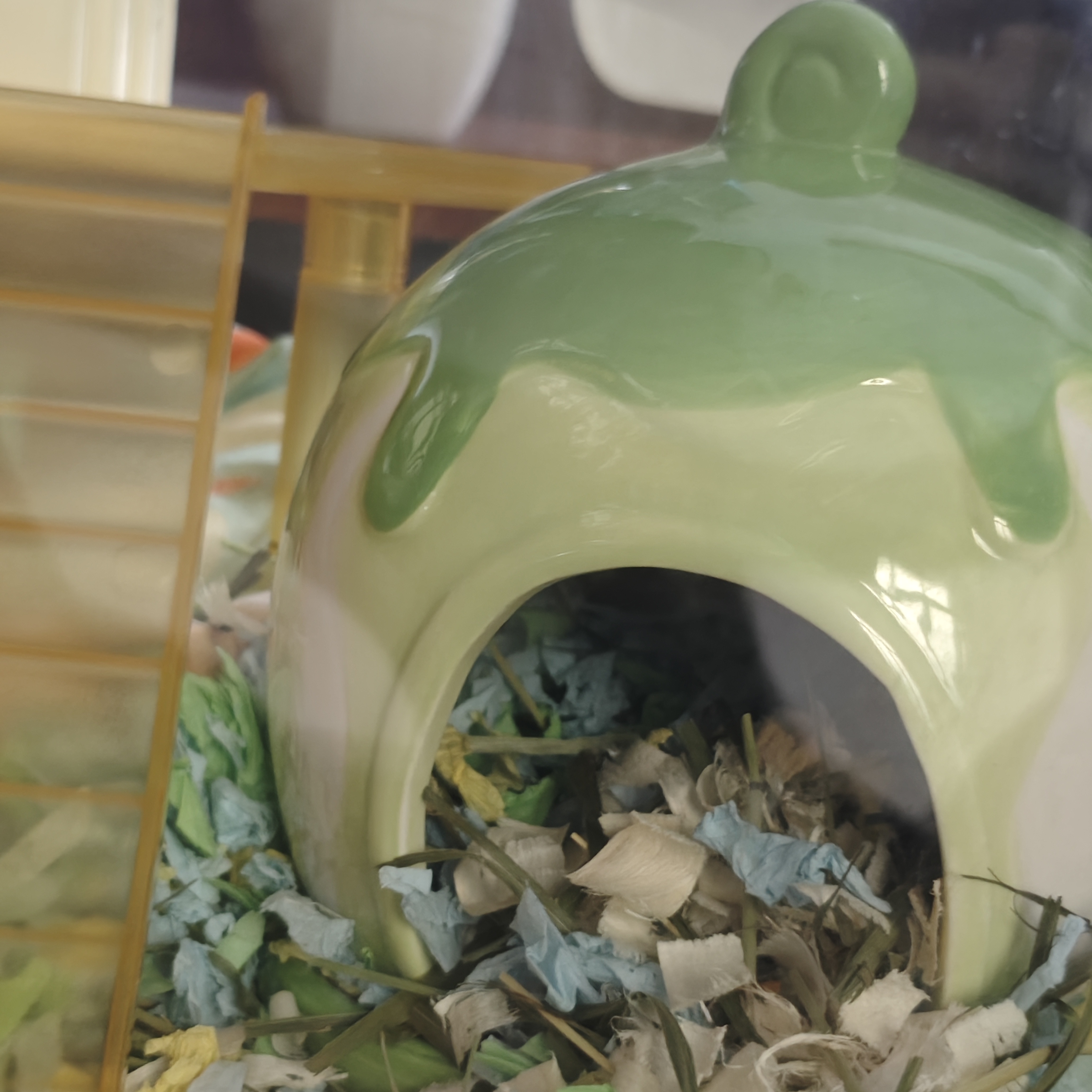 洁丽雅（Grace）枕头定型枕 7A抗菌星级酒店家用枕芯 水立方枕头成人一对45×70cm 实拍图