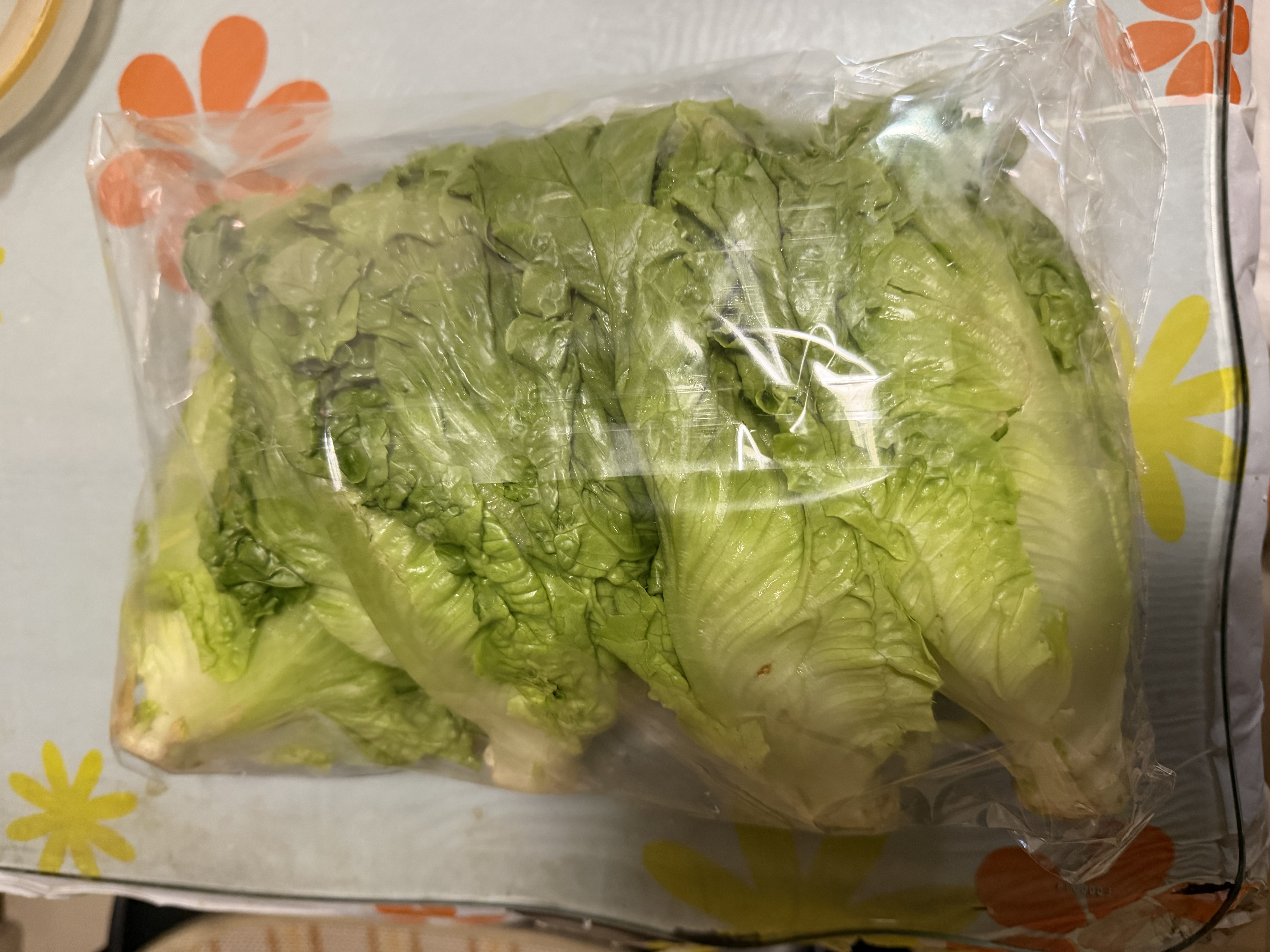 【烧烤季】钟灵山罗马生菜400g 实拍图
