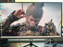 飞利浦EVNIA弈威 31.5英寸4K240Hz QD-OLED动态智冷 原生10bit 0.03ms 音响 O8电竞显示器 32M2N8800 实拍图