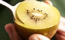 佳沛（zespri）阳光金奇异果黄心猕猴桃新西兰进口巨无霸当季新鲜水果礼盒 10枚大果单果105-118g【精美礼盒】 实拍图