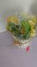 吕姆克假花仿真花绢花塑料花节日礼物花束套装餐桌摆件装饰花森贝黄6019 实拍图