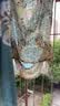 艾薇 A类枕头套纯棉家用全棉单人枕套一对枕芯套 清馨花园 48*74cm 实拍图