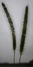 味滋源综合蔬菜脆258gx2袋 蜜饯果干香菇脆秋葵干即吃混合果蔬脆片 实拍图