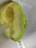 秘鲁进口哈斯牛油果 老树奶酪牛油果 新鲜孕妇水果宝宝辅食鳄梨 单果净重：190-210g 6粒推荐装 实拍图