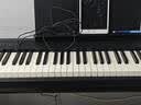 罗兰（Roland）FRP-C1重锤电钢琴LX/GP系列同款音源成人儿童初学入门旗舰新款 实拍图