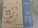 蒙牛特仑苏低脂纯牛奶250ml×16盒 健身减脂 送礼优选礼盒装 实拍图