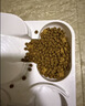 伟嘉幼猫猫粮夹心粮 全价粮1.2kg海洋鱼味 布偶蓝猫橘猫英短猫咪 实拍图