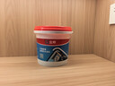 立邦外墙防水涂料 透明防水胶窗台防水补漏材料透明堵漏胶渗透型 1kg 实拍图