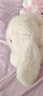 名创优品（MINISO）塔尼兔系列趴姿公仔毛绒玩具玩偶兔子娃娃抱枕生日礼物儿童节礼物 实拍图