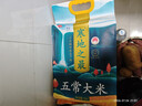 十月稻田 寒地之最 五常大米 10斤（东北大米 香米 5kg/公斤） 实拍图