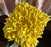 KARCHER KARCHER德国卡赫洗车毛巾擦车专用手套洗车工具洗车手套 黄色 实拍图
