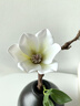 京东鲜花中式复古风黑色陶瓷花瓶客厅桌面茶几仿真玉兰花装饰摆件禅意插花 实拍图
