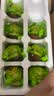 瑾贝13天金凤活珠子五香味50g*20枚新鲜开袋即食加蘸料钢化蛋熟鸡胚蛋 实拍图