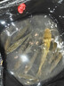 一味化氏昆虫元素新品饵料鱼饵大味型高穿透强钓鱼饵昆虫元素1包装 实拍图
