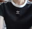 阿迪达斯（adidas）三叶草 女子 3S CALI TEE SS 短袖 JC8703 L 实拍图