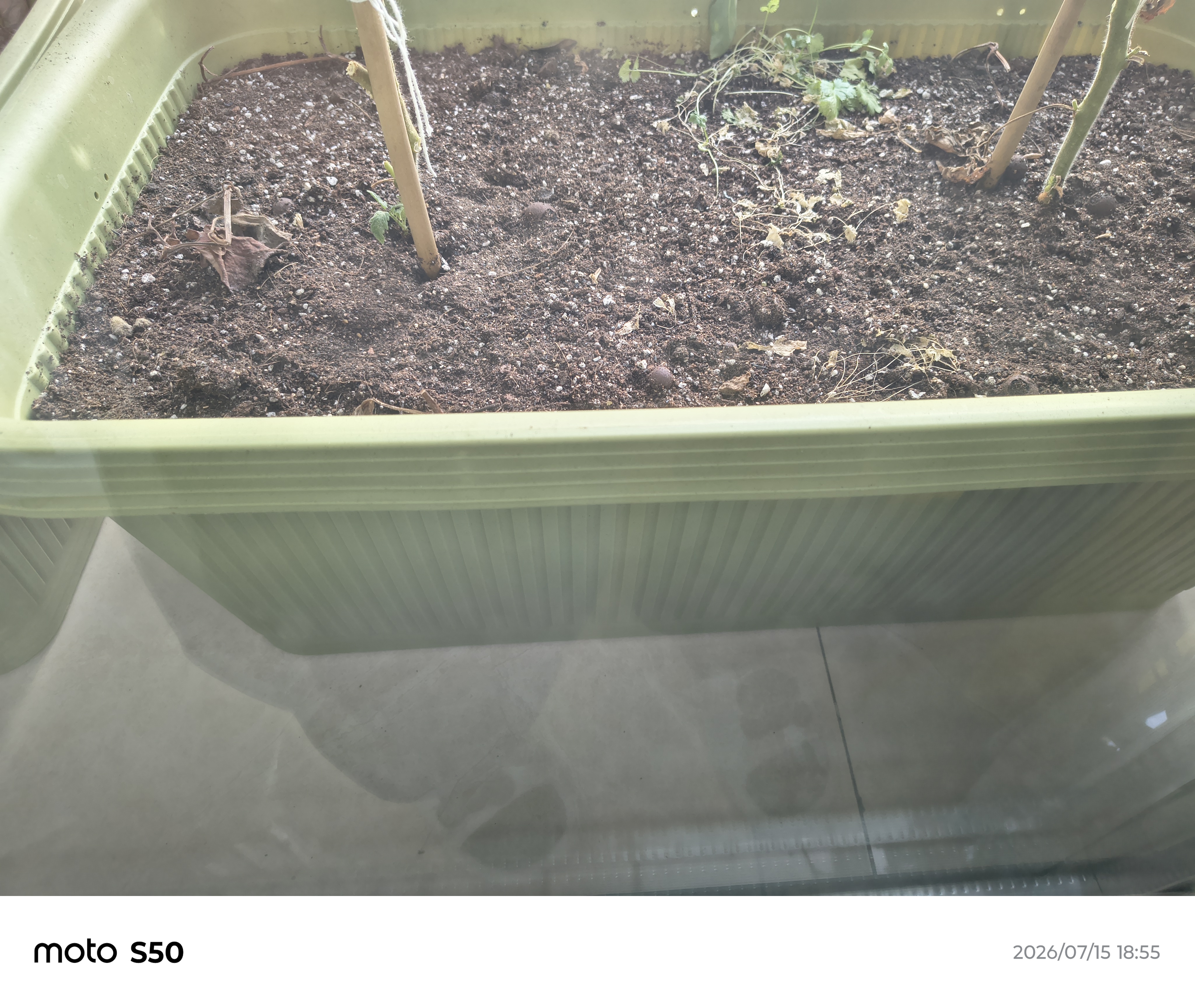 德沃多蔬菜专用营养土50L园艺种菜土壤盆栽果蔬养花土种植基质土 实拍图