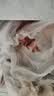 京东跑山猪黑猪肋排 净重4斤 含软骨原切煲汤红烧生鲜食材 实拍图