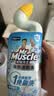 威猛先生（Mr Muscle）免刷洗 强效洁厕灵 洁厕剂 馥郁繁花型 马桶清洁 600gX2瓶 实拍图